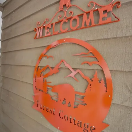 Forest Cottage With Hot Tub, Walk To Lake Chatuge!